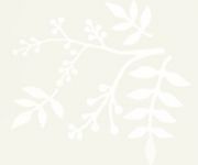 リーフホワイト(T) リーフホワイト(T)