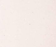 シナモンベージュ(U)