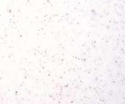 クレマホワイト(X)