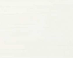 ラインホワイト※:Ⅰ・C ラインホワイト※:Ⅰ・C