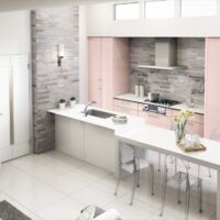 ナスラック セスパ PLAN3