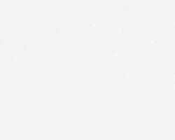 ARCTIC WHITE アークティックホワイト