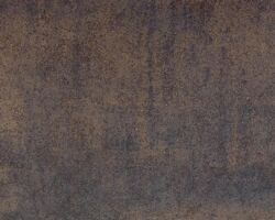 IRON MOSS アイアンモス