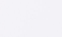 DW105ラディアンスRadianz