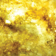 TranslucentCollection-9002OKITEオキテ