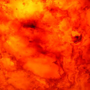 TranslucentCollection-9003OKITEオキテ