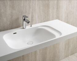 洗面カウンター 洗面器:ボウル一体型