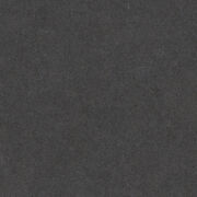 4120 Raven レェバン