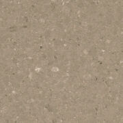 4230 Shitake シイタケ