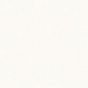 コーリアン 6V ソルトホワイト シエラシリーズ