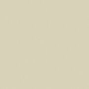 コーリアン BN ボーン ソリッドカラー