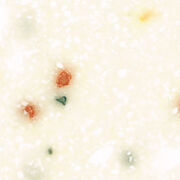 DF フェスティバル コーリアン モンタナシリーズ