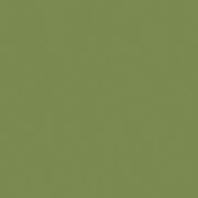 コーリアン GN ブルーミンググリーン ソリッドカラー