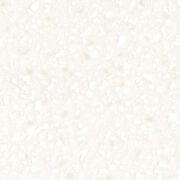 コーリアン MT アンタークティカ マグナシリーズ