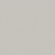 コーリアン PG パールグレー ソリッドカラー