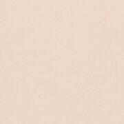 コーリアン TR ティーローズ(ABC) ソリッドカラー