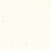 コーリアン WJ ホワイトジャスミン モンタナシリーズ