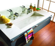 PS813ぺブルスワンPebble-Swan