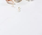 STARON VD111デルフィー