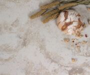 VD175 Dandelionダンデライオン