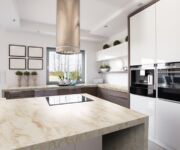 VD175 Dandelionダンデライオン