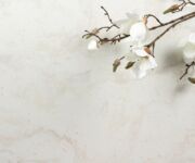 STARON VM143マグノリア