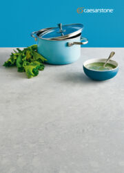 シーザーストーン2021カタログ